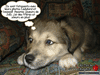 Chiot - Bebedoll