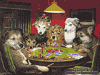 Animaux : Chiens jouant au Poker (parodie)